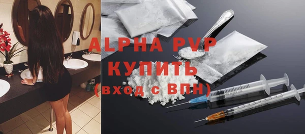 прущие крисы Новодвинск