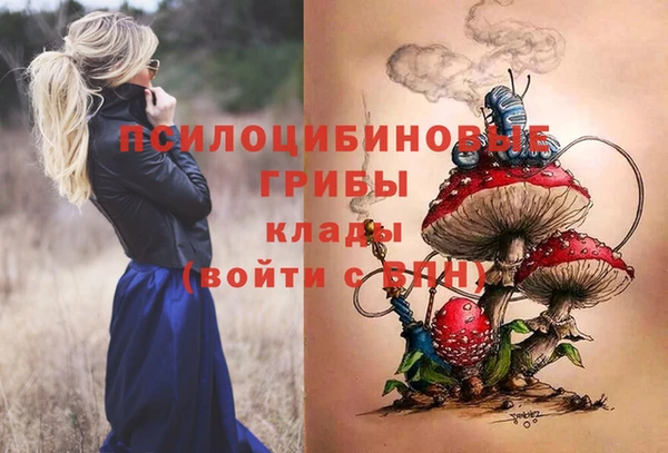 тгк Кирс