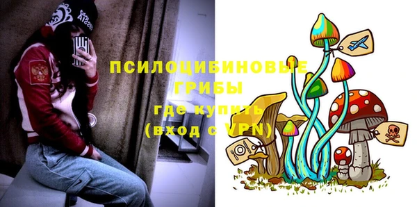 молекула духа Нефтегорск