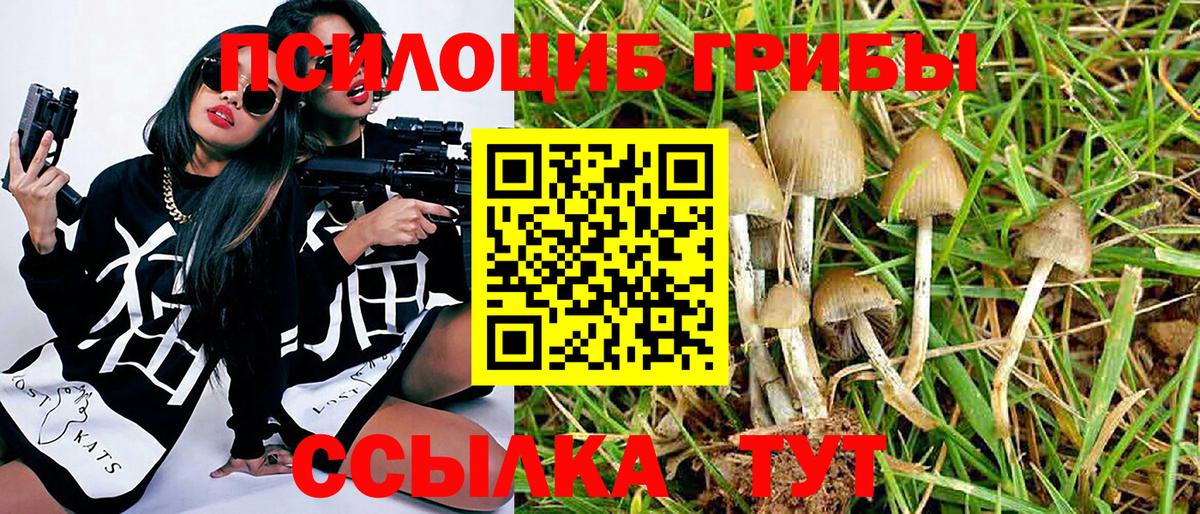 Псилоцибиновые грибы прущие грибы  Вход с VPN  Протвино 