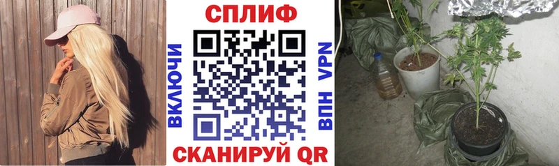 даркнет сайт  Протвино  нарко площадка какой сайт  Бошки марихуана тримм 